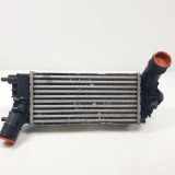 Ladeluftkühler L1BG6D624AB Ford Titanium 1.0 EcoBoost MHEV 92 kW (125 CV) Motor 1,0 Ltr. - 92 kW HMEV ECOBOOST 5 puertas 2021 2021