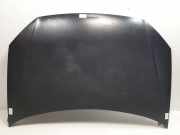 Motorhaube Volkswagen Polo IV (9N1/2/3) Schrägheck 1.9 TDI 100 (AXR) 2005 AXR