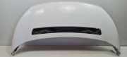 Motorhaube Fiat Scudo (270) Van 1.6 D Multijet (DV6UTED4(9HU)) 2007