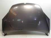 Motorhaube Honda CR-V (RE/RM) SUV 2.2 i-DTEC 16V 4x4 (N22B3(Euro 5)) 2007