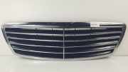 Grill A2208800583 Mercedes-Benz S (W220) Limousine 3.2 S-320 CDI (OM648.960) 2002