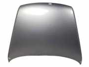 Motorhaube 5PUERTAS Volkswagen Touareg (7LA/7L6) SUV 3.0 TDI V6 24V (BKS) 2006