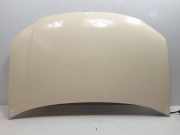Motorhaube Volkswagen Touran (1T1/T2) Großraumlimousine 1.9 TDI 105 Euro 3 (BLS) 2006 BLS