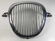 Grill XR838A133AA Jaguar S-type (X200) Limousine 3.0 V6 24V (FC(AJ-V6)) 1998