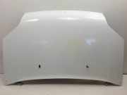 Motorhaube Ford Transit Connect Van 1.8 TDdi LWB Euro 4 (P7PB) 2009