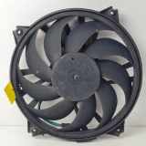 Kühlerventilatormotor Citroën Berlingo Van 1.9 D (DW8B(WJY)) 2005