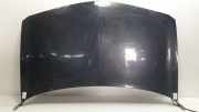 Motorhaube Renault II COUPE/CABRIO Confort Authentique Motor 2,0 Ltr. - 99 kW 2 puertas 2003 2003