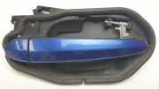Türgriff Außen Ra 3330984 BMW (E83) 2.0d (volante derecha) Motor 2,0 Ltr. - 110 kW 16V Diesel CAT 5 puertas 2006 2006