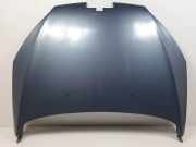 Motorhaube Peugeot SR Sport HDi 110 FAP Motor 1,6 Ltr. - 80 kW HDi FAP CAT (9HZ / DV6TED4) 4 puertas 2007 2007