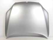 Motorhaube Audi Q7 (4LB) SUV 4.2 TDI V8 32V (BTR) 2007
