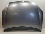 Motorhaube Citroën C5 I Berline (DC) Schrägheck 2.2 HDi 16V FAP (DW12TED4(4HX)) 2001