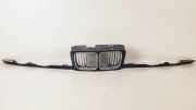 Grill 51131973825 BMW 5 serie (E34) Limousine 525tds (M51-D25(256T1)) 1993