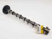 Kurbelwelle Zahnrad M616474 Renault III Dynamique Motor 2,0 Ltr. - 110 kW dCi Diesel FAP 5 puertas 2007 2007