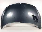 Motorhaube Peugeot 206+ (2L/M) Schrägheck 1.4 HDi (DV4C(8HR)) 2010