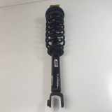 Stoßdämpfer Links Hinten 96820579 Daewoo / Chevrolet Epica Limousine 2.0 D 16V (Z20S(Euro 4)) 2008