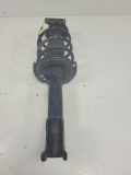 Stoßdämpfer Links Vorne 65331370 Mercedes-Benz B (W245) Schrägheck 2.0 B-200 CDI 16V (OM640.941) 2005