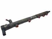 Einspritzdüsen Düsenstock A6460700695 Mercedes-Benz MERCEDES II CAJA CERRADA (DESDE 01.06) 309/311/313/315 CDI (906.631/633/635/637) Motor 2,1 Ltr. - 80 kW CDI CAT 4 puertas 2006 2006