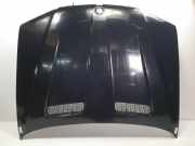 Motorhaube BMW X5 (E53) SUV 3.0d 24V (M57-D30(306D1)) 2001