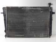 Radiator Hyundai Tucson (JM) SUV 2.0 16V CVVT 4x2 (G4GC) 2004