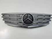 Grill A1698800783 Mercedes-Benz B (W245) Schrägheck 1.7 B-170 16V (M266.940) 2005