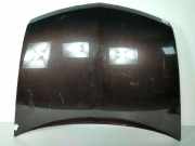Motorhaube Renault Vel Satis (BJ) Großraumlimousine 2.0 dCi 16V 175 FAP (M9R-760(Euro 4) 2005