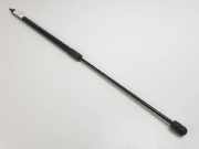 Gasdruckfeder Vorne 654710003R Renault III BERLINA 5P Authentique 1.6 16v 100 Motor 1,6 Ltr. - 74 kW 16V CAT 5 puertas 2010 2010