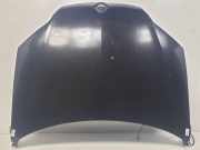 Motorhaube 5PUERTAS Renault Laguna III Estate (KT) Kombi 5-drs 1.5 dCi 110 FAP (K9K-782) 2010