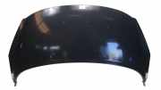 Motorhaube Peugeot 207/207+ (WA/WC/WM) Schrägheck 1.4 HDi (DV4TD(8HZ)) 2006