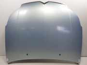 Motorhaube Citroën C5 II Berline (RC) Schrägheck 2.0 HDiF 16V (DW10BTED4(RHR)) 2006