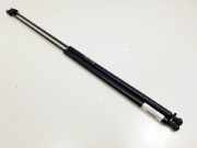 Gasdruckfeder Vorne 3409100000 BMW 7 serie (E65/E66/E67) Limousine 730d,Ld 3.0 24V (M57N2-D30(306D3)) 2005