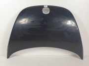 Motorhaube Volkswagen New Beetle (1Y7) Cabrio 1.9 TDI (AXR) 2005 AXR