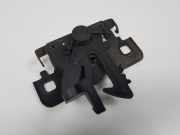 Schlossfänger Motorhaube Dacia Sandero II Schrägheck 1.2 16V (D4F-732(D4F-F7)) 2012