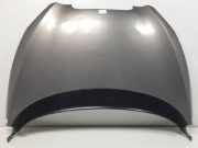 Motorhaube 5PUERTAS Seat Toledo (5P2) Großraumlimousine 1.6 (BGU) 2004