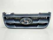 Grill Hyundai Matrix Schrägheck 1.8 16V (G4GB) 2002
