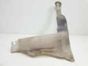 Scheibenwaschbehälter 8200146985 Opel Movano (4A1; 4A2; 4B2; 4B3; 4C2; 4C3) Van 2.5 CDTI 16V DPF (G9U-650) 2006