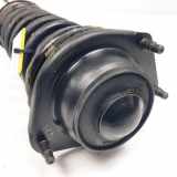 Stoßdämpfer Links Vorne 54650FD100 Kia Rio (DC22/24) Schrägheck 1.3 (A3E) 2002