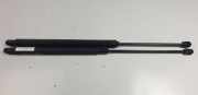 Gasdruckfeder Vorne Q4A2038800029 Mercedes-Benz MERCEDES CLASE CLK (W209) COUPE 220 CDI Aut. (209.308) (vol. der.) Motor 2,2 Ltr. - 110 kW CDI CAT 2 puertas 2005 2005
