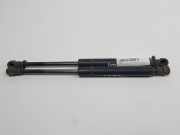 Gasdruckfeder Vorne 420N Ford Focus 1 Limousine 1.6 16V (FYDC) 1998