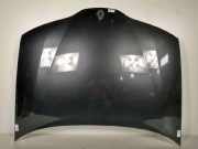 Motorhaube Renault II (BG0) Authentique Motor 1,9 Ltr. - 74 kW dCi Diesel CAT 5 puertas 2001 2001