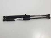 Gasdruckfeder Vorne BMW SERIE 3 COMPACT (E46) 316ti Motor 1,8 Ltr. - 85 kW 16V 3 puertas 2001 2001