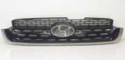 Grill Hyundai Atos Schrägheck 1.0 12V (G4HC) 2001