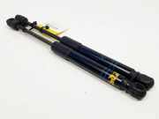 Gasdruckfeder Vorne 5123723923306 BMW 3 serie Touring (F31) Kombi 318d 2.0 16V (N47-D20C) 2013