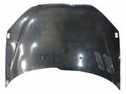 Motorhaube Peugeot 206 CC (2D) Cabrio 1.6 HDI 16V FAP (DV6TED4(9HZ)) 2005