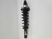 Stoßdämpfer Links Hinten Dodge Caliber Schrägheck 2.0 16V (ECN) 2007