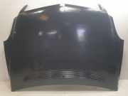 Motorhaube Mercedes-Benz R (W251) Großraumlimousine 3.0 320 CDI 24V 4-Matic (OM642.950) 2005