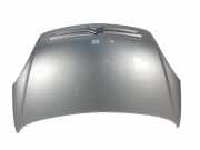 Motorhaube Citroën Xsara Picasso (CH) Großraumlimousine 1.6 HDi 16V 92 (DV6ATED4(9HX)) 2004