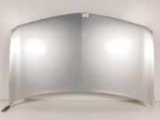 Motorhaube Renault Megane II CC (EM) Cabrio 2.0 16V Turbo (F4R-776) 2004