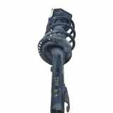 Stoßdämpfer Links Vorne 8200335189 Renault Megane II (BM/CM) Schrägheck 1.9 dCi 120 (F9Q-800) 2002