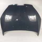 Motorhaube Peugeot 407 (6D) Limousine 2.0 HDiF 16V (DW10BTED4(RHR)) 2004