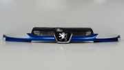 Grill 9628691277 Peugeot 206 CC (2D) Cabrio 1.6 16V (TU5JP4(NFU)) 2000